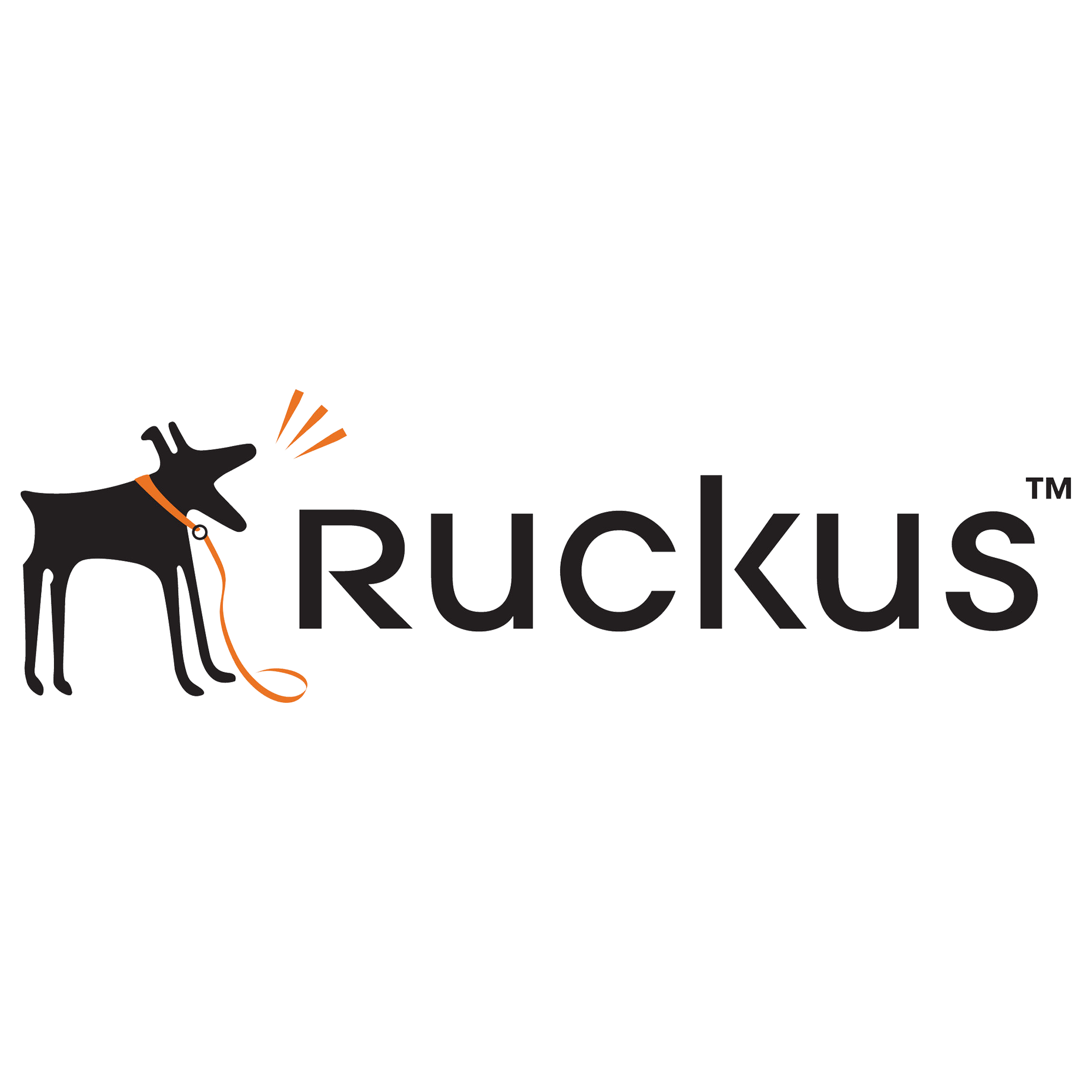 Ruckus logo