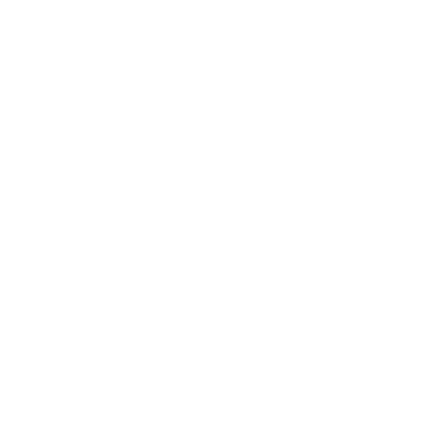 2N